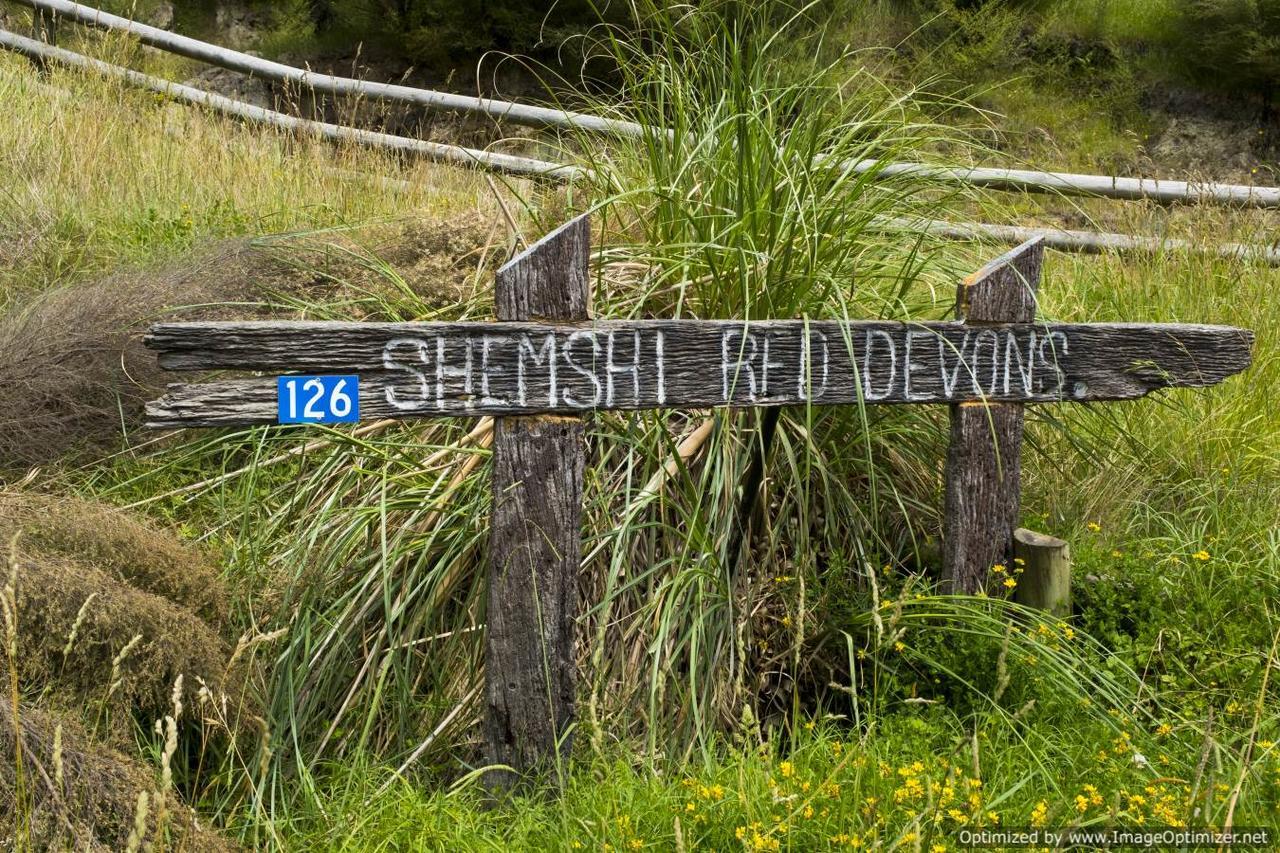 Villa Shemshi Gisborne Eksteriør billede